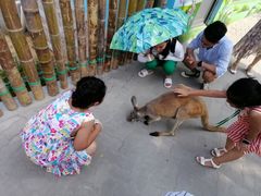 -西霞口神雕山野生动物世界