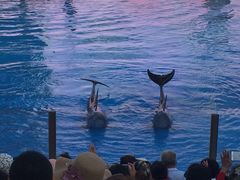 -北戴河圣蓝海洋公园