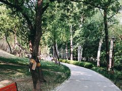 -元大都城垣遗址公园