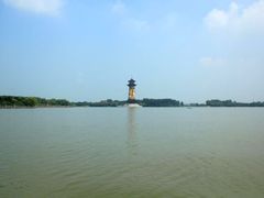 -溱湖国家湿地公园