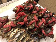 -西贡日航酒店