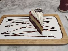 -哈根达斯(深圳海岸城店)