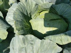 -味餐厅·海鲜·火锅·自助餐