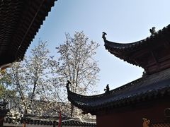 -长春观