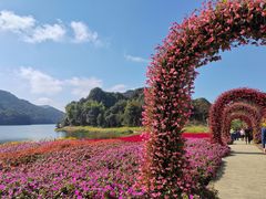 -广州市石门国家森林公园