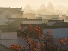 -塔川景区
