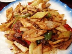 -邵年鸽(杨庄店)
