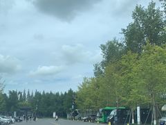 -黄海国家森林公园