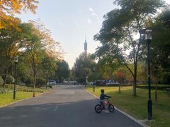 -杭州城北体育公园