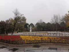 -丰台花园