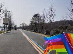-羊山湖公园