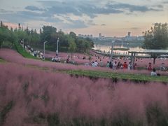 -安宁市宁湖森林公园