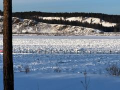 -北极村旅游风景区