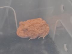 -宠物世家(仲盛世界商城店)