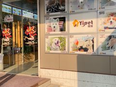 -翊宠yipet猫狗购宠庄园犬舍•猫舍