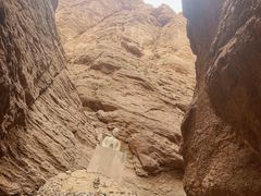 -天山神秘大峡谷