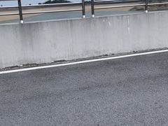 -江南天池