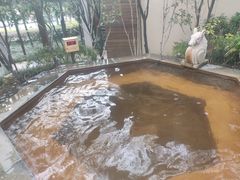 -张家港金凤凰度假村温泉