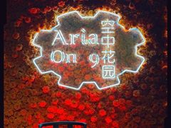 -四季酒店·空中花园 Aria on 9