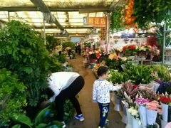 android_upload_pic-长宁东道花卉宠物市场