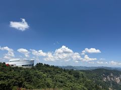 -王莽岭风景区