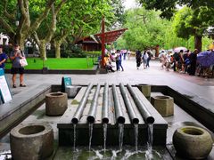 -西湖外事游船(湖滨二公园外事游船码头)