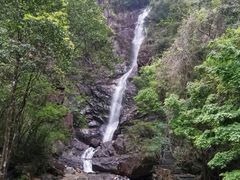 -姑婆山旅游区