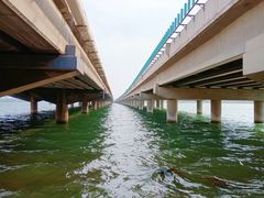 -丁香湖公园