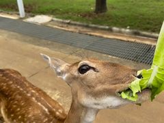 -南京金牛湖风景区