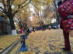 -四川大学(华西校区)