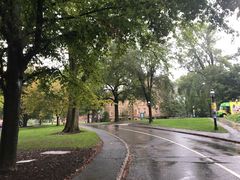 -普林斯顿大学