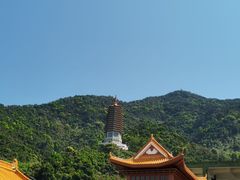 -深圳仙湖植物园