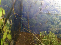 android_upload_pic-上海大自然野生昆虫馆