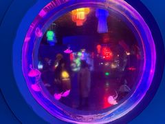 -太平洋海底世界