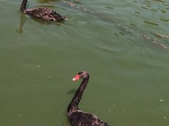 -无锡动物园·太湖欢乐园