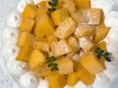 -今日·TODAY手作低脂动物奶油蛋糕定制(高新万达店)