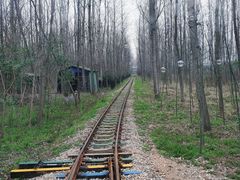 -合肥滨湖国家森林公园