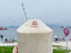 -三亚蜈支洲岛旅游区