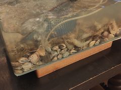 -步步高福朋喜来登·宜客乐西餐厅
