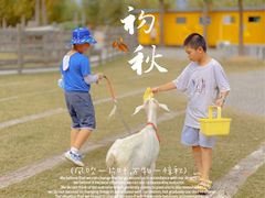 -前小桔亲子创意农场·草莓采摘·露营烧烤