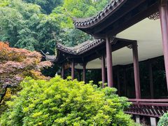 -杭州黄龙洞