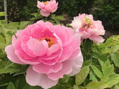 -御汤山生态园
