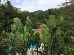 七仙岭君澜温泉度假酒店-七仙岭君澜度假酒店