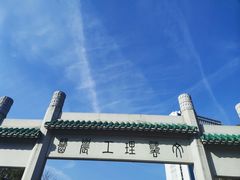 -武汉大学-樱园