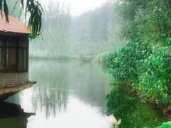-滕州微山湖红荷湿地景区