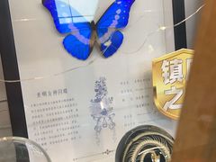 -上海大自然野生昆虫馆(东方明珠·爬宠昆虫探索中心)