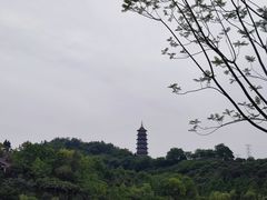 -重庆园博园