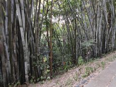-中山公园(石岐街道)