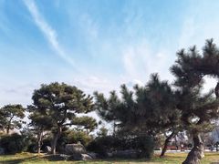 -汉长安城未央宫国家考古遗址公园