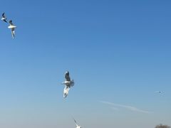 -水上明月·湖景餐厅